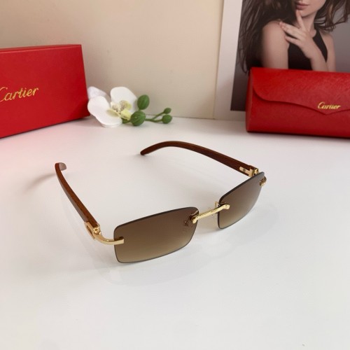 Cartier 까르띠에 선글라스 #251161623