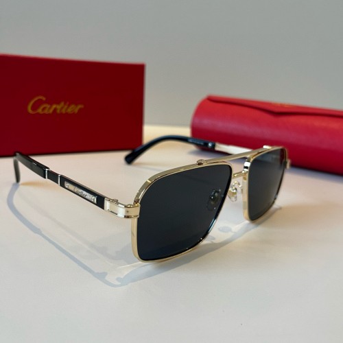 Cartier 까르띠에 선글라스 #251161608